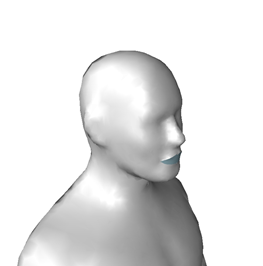 フェイスシールド無し