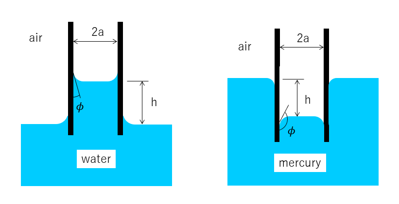 image from 毛細管現象のシミュレーション